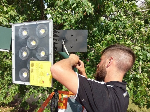Electricians installing commercial lighting at a sports facility
